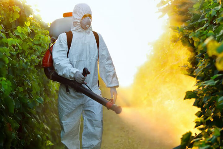 imagen renta de fumigadores en motor a gasolina